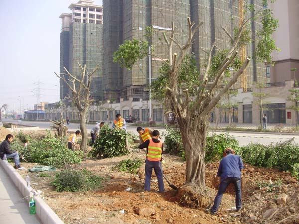 乐鱼平台-乐鱼（中国）一站式服务平台
坦洲界狮南路